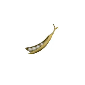 Baby Pea Pod Pin