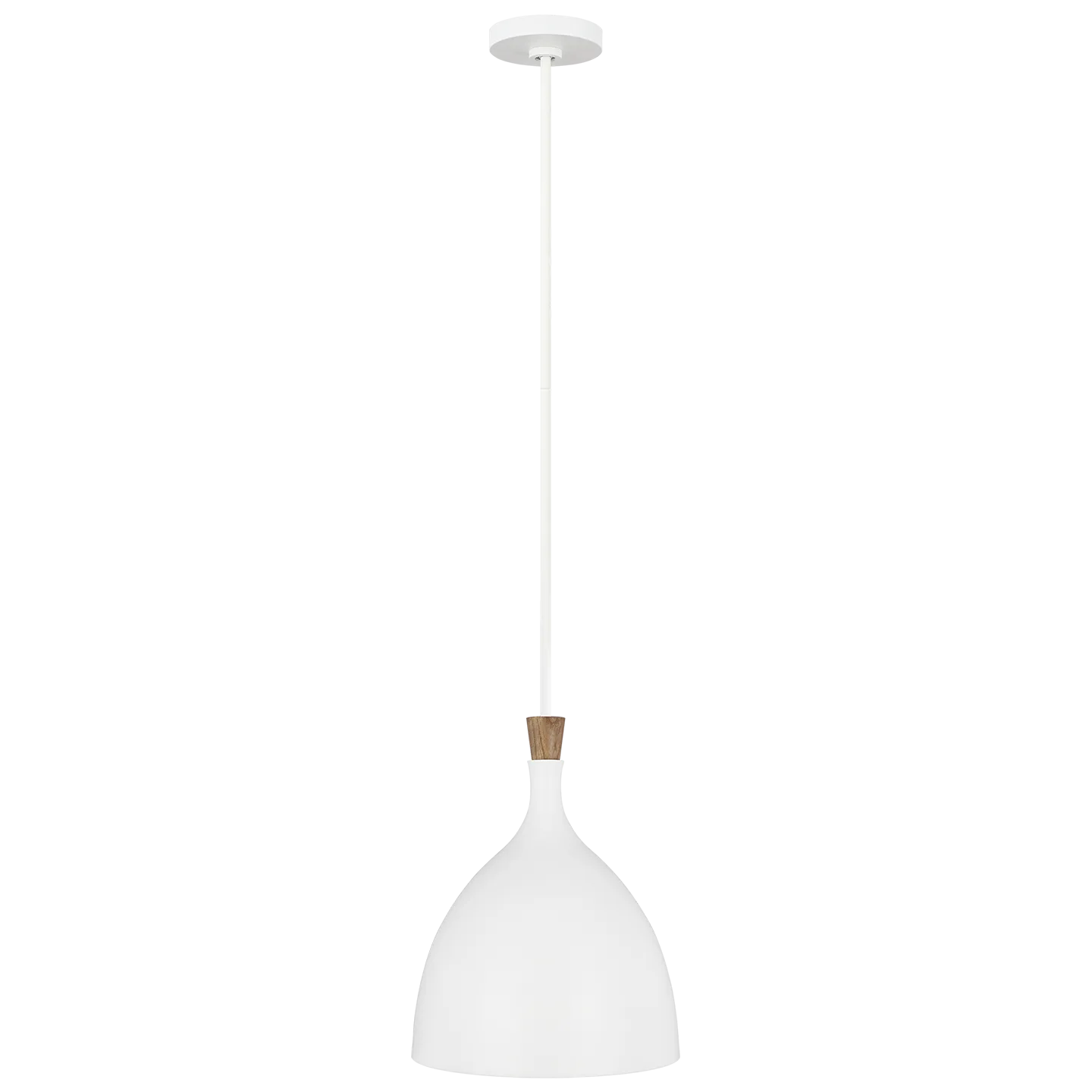 Darwin Medium Pendant