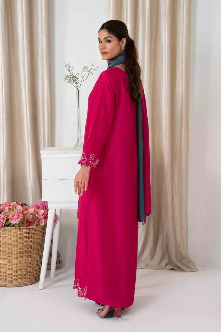 Hadia Batool - Nooreh Pret Collection - Sohaye