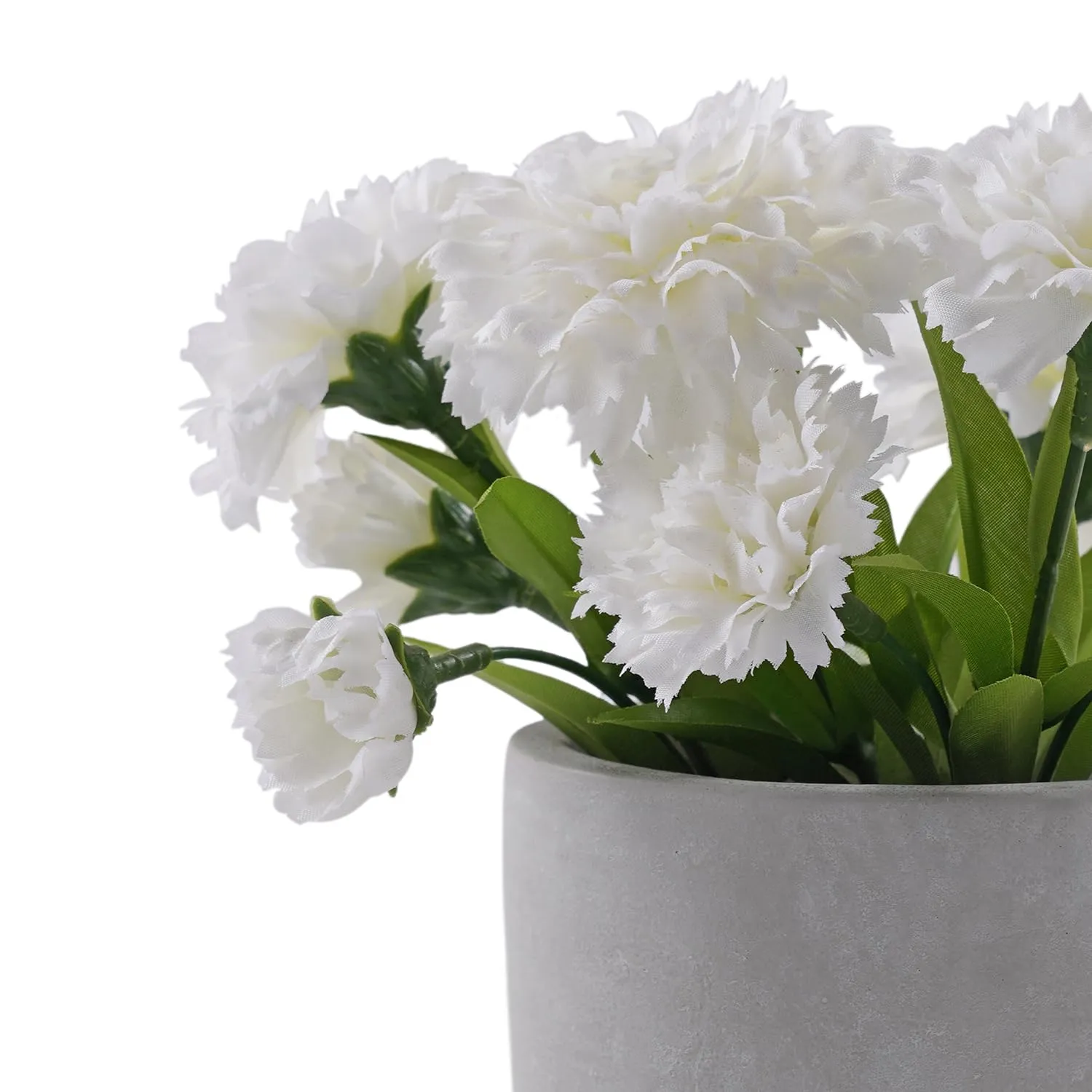 Pure Home   Living, Carnation in Cement Pot, White