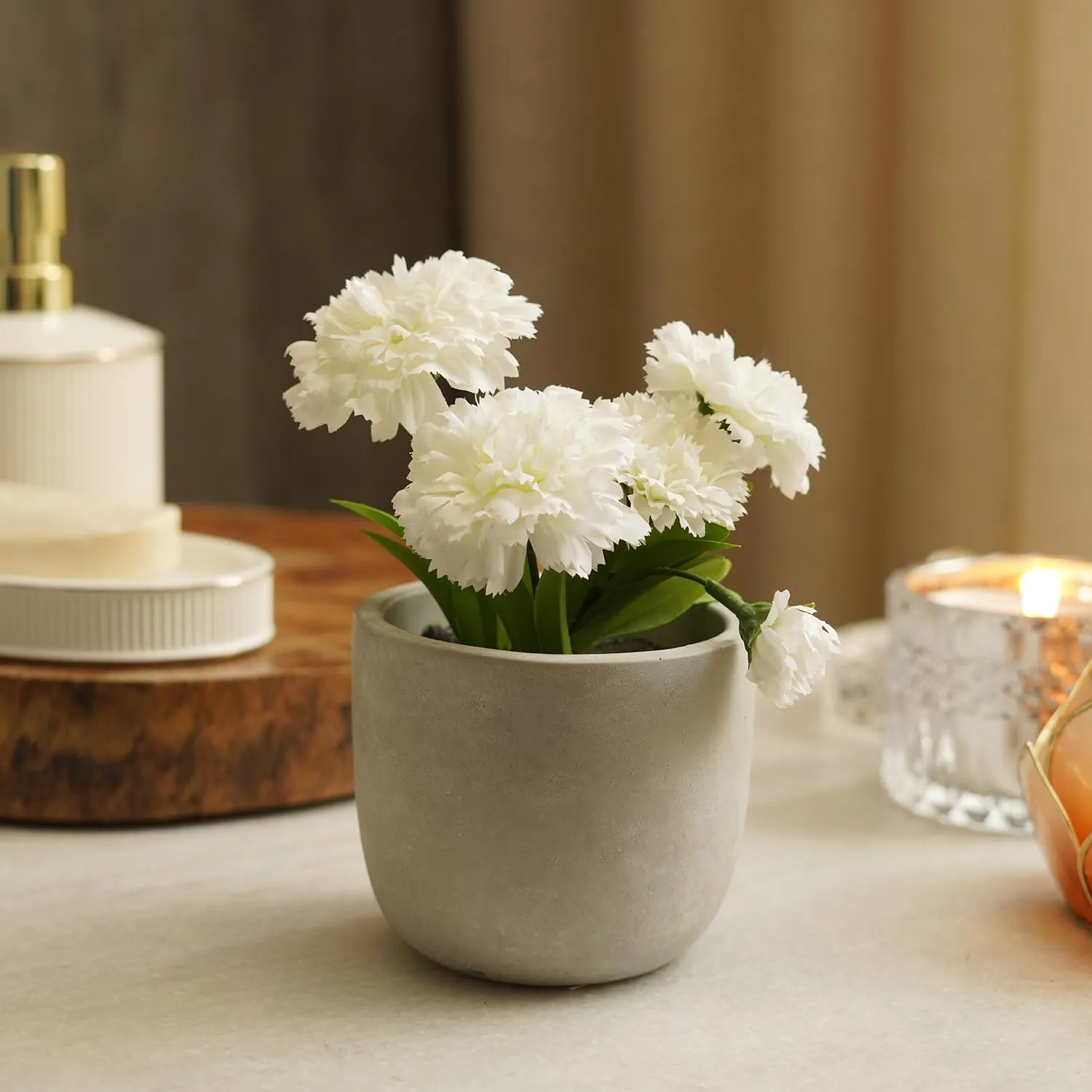Pure Home   Living, Carnation in Cement Pot, White