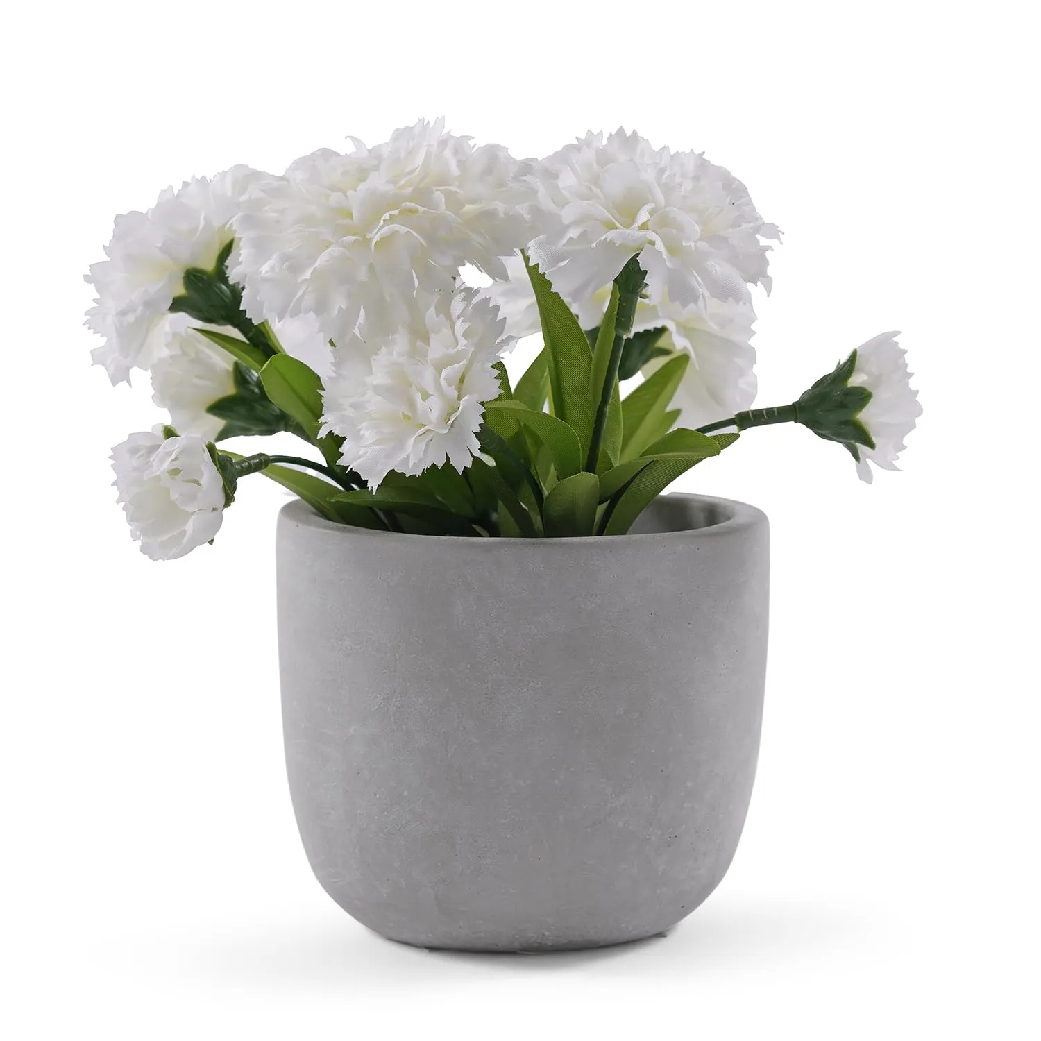 Pure Home   Living, Carnation in Cement Pot, White