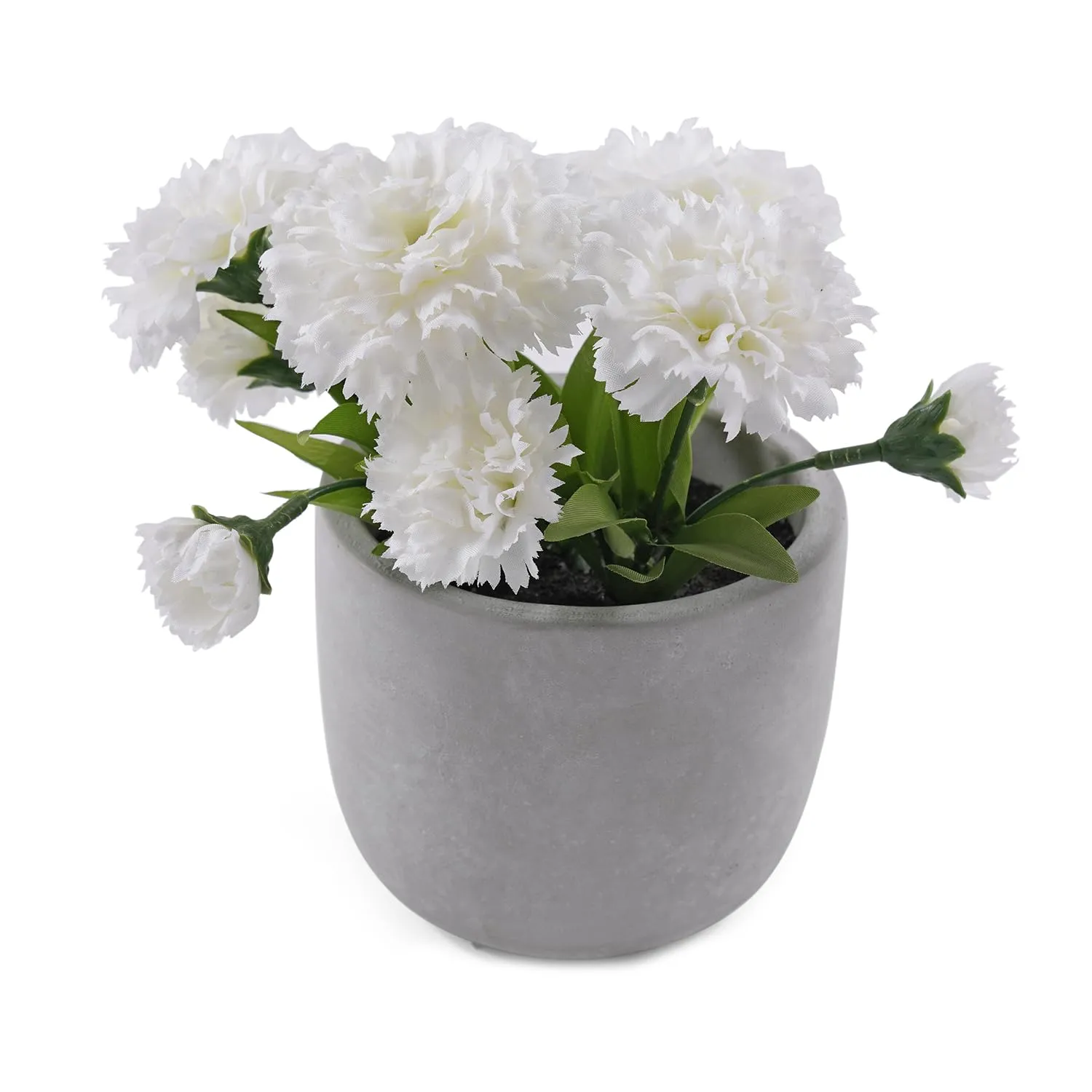 Pure Home   Living, Carnation in Cement Pot, White